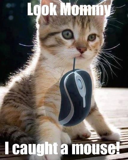 Look Mommy I caught a mouse