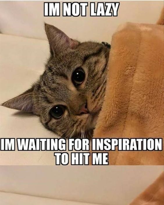 IM NOT LAZY IM WAITING FOR INSPIRATION TO HIT ME