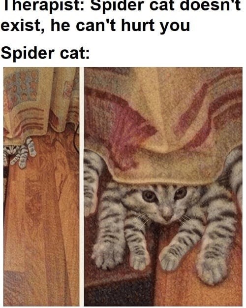 Therapist: Spider cat doesn't exist, he can't hurt you Spider cat: