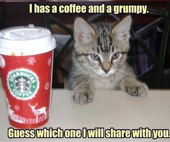 I has a coffee and a grumpy. * COFFEE Guess which onel will share with you.