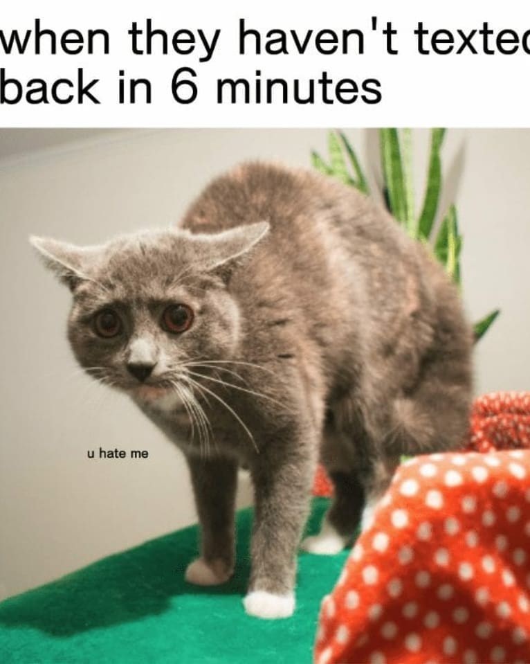 when they haven't texted back in 6 minutes u hate me