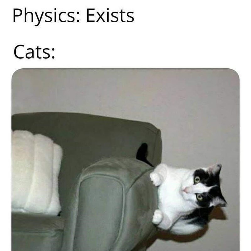 Physics: Exists Cats: