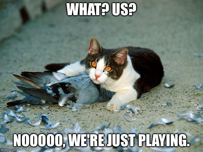 WHAT? US? imgflip.com N00000, WE'RE JUST PLAYING.