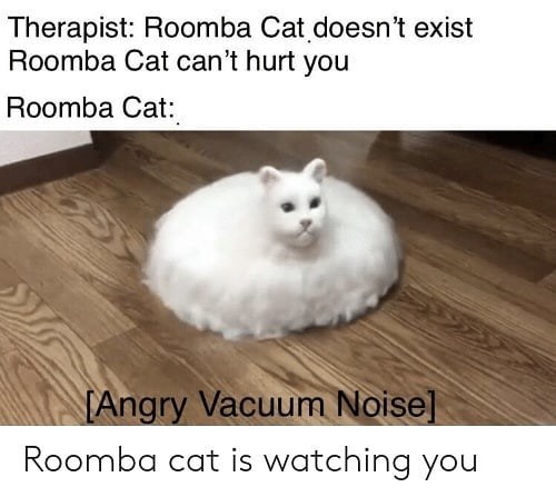 Therapist: Roomba Cat doesn't exist Roomba Cat can't hurt you Roomba Cat: [Angry Vacuum Noise] Roomba cat is watching you