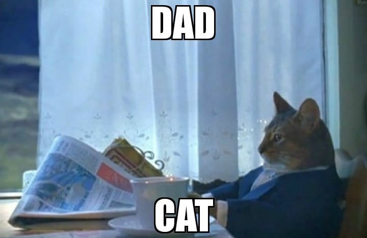 DAD CAT