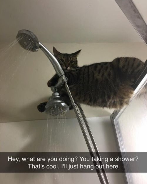 Hey, what are you doing? You taking a shower? That's cool. I'll just hang out here.