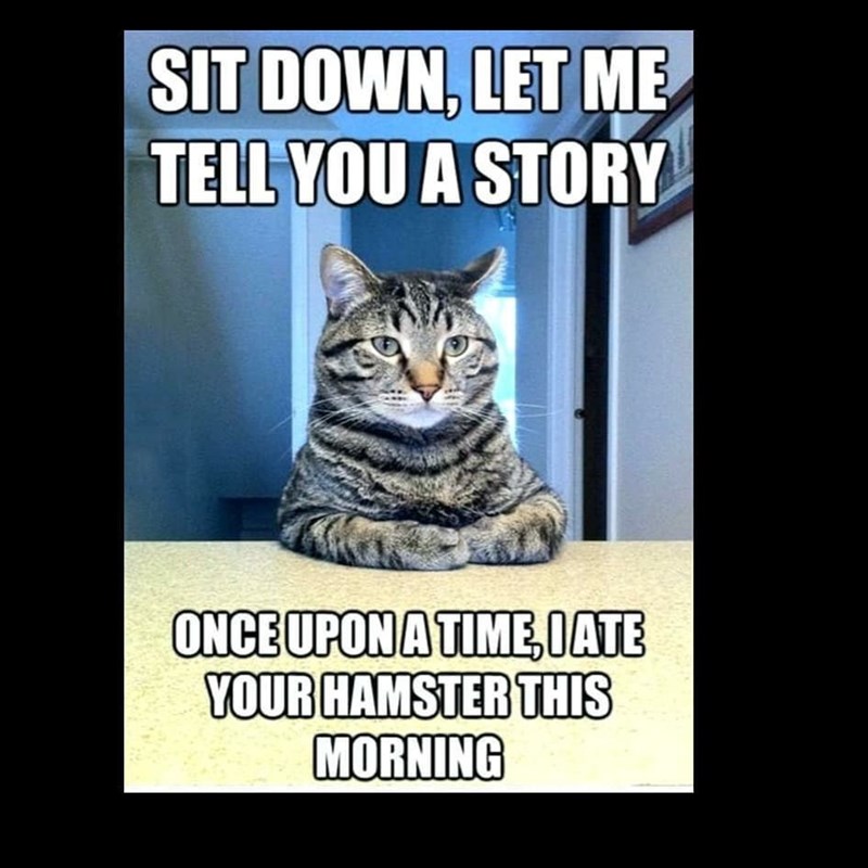 SIT DOWN, LET ME TELL YOU A STORY ONCE UPON A TIME,IATE YOUR HAMSTER THIS MORNING