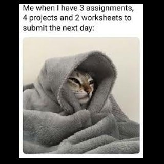 Me when I have 3 assignments, 4 projects and 2 worksheets to submit the next day: