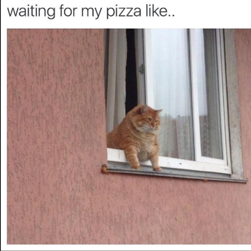 waiting for my pizza like..