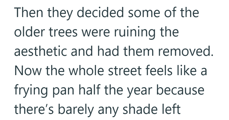Then they decided some of the older trees were ruining the aesthetic and had them removed. Now the whole street feels like a frying pan half the year because there's barely any shade left