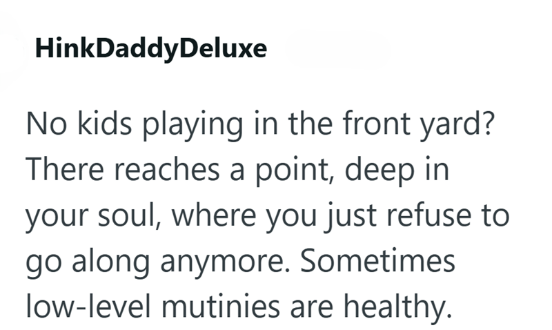 HinkDaddyDeluxe No kids playing in the front yard? There reaches a point, deep in your soul, where you just refuse to go along anymore. Sometimes low-level mutinies are healthy.