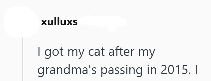 xulluxs I got my cat after my grandma's passing in 2015. I