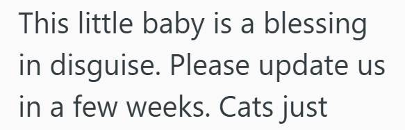 This little baby is a blessing in disguise. Please update us in a few weeks. Cats just