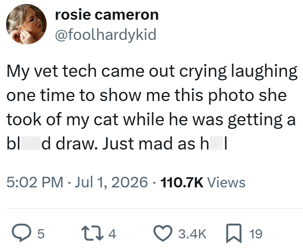 rosie cameron @foolhardykid My vet tech came out crying laughing one time to show me this photo she took of my cat while he was getting a blood draw. Just mad as hell 5:02 PM ⚫ Jul 1, 2026 · 110.7K Views ◇ 5 274 3.4K ☐ 19