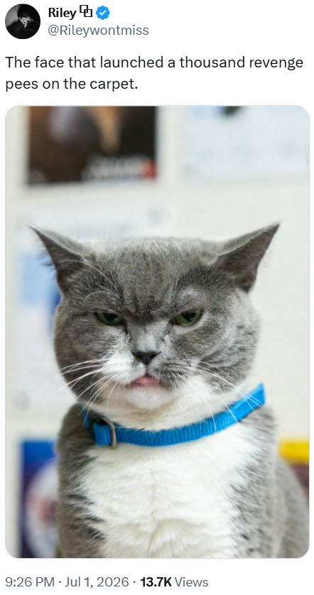 Riley♥ @Rileywontmiss The face that launched a thousand revenge pees on the carpet. 9:26 PM. Jul 1, 2026 13.7K Views
