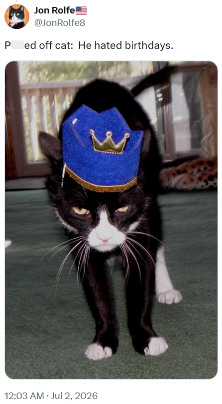 Jon Rolfe @JonRolfe8 Pissed off cat: He hated birthdays. W 12:03 AM ⚫ Jul 2, 2026