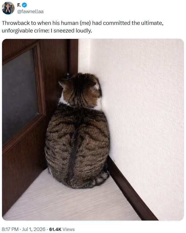F. @fawnellaa Throwback to when his human (me) had committed the ultimate, unforgivable crime: I sneezed loudly. 8:17 PM - Jul 1, 2026 - 61.4K Views