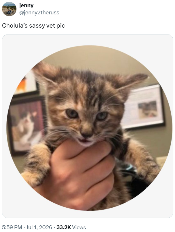 jenny @jenny2theruss Cholula's sassy vet pic 5:59 PM ⚫ Jul 1, 2026 33.2K Views