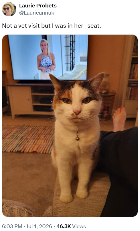 Laurie Probets @Laurieannuk Not a vet visit but I was in her seat. 6:03 PM ⚫ Jul 1, 2026 46.3K Views