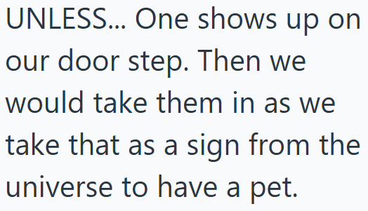 UNLESS... One shows up on our door step. Then we would take them in as we take that as a sign from the universe to have a pet.