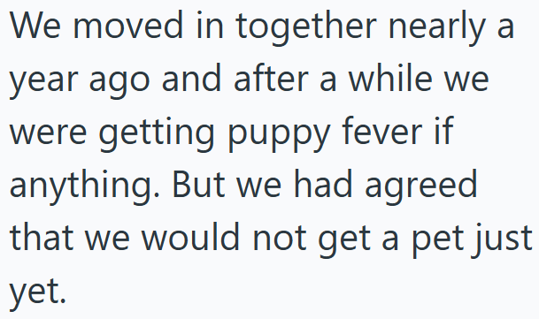 We moved in together nearly a year ago and after a while we were getting puppy fever if anything. But we had agreed that we would not get a pet just yet.