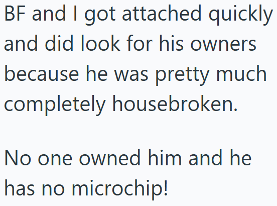 BF and I got attached quickly and did look for his owners because he was pretty much completely housebroken. No one owned him and he has no microchip!