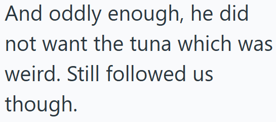 And oddly enough, he did not want the tuna which was weird. Still followed us though.