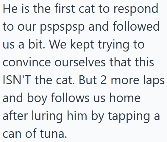 He is the first cat to respond to our pspspsp and followed us a bit. We kept trying to convince ourselves that this ISN'T the cat. But 2 more laps and boy follows us home after luring him by tapping a can of tuna.
