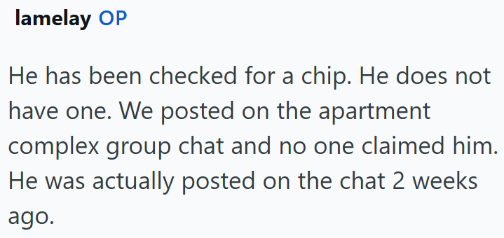 lamelay OP He has been checked for a chip. He does not have one. We posted on the apartment complex group chat and no one claimed him. He was actually posted on the chat 2 weeks ago.
