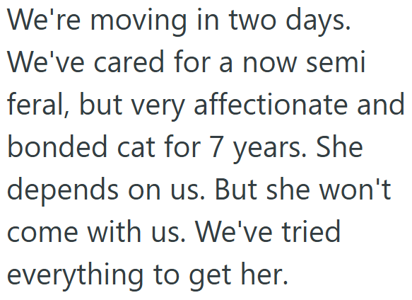 We're moving in two days. We've cared for a now semi feral, but very affectionate and bonded cat for 7 years. She depends on us. But she won't come with us. We've tried everything to get her.