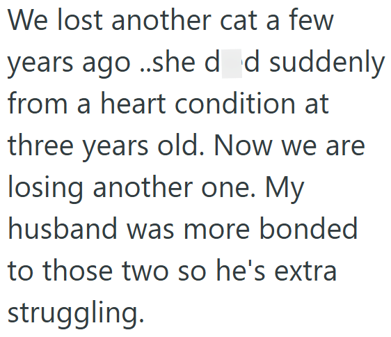 We lost another cat a few years ago..she d d suddenly from a heart condition at three years old. Now we are losing another one. My husband was more bonded to those two so he's extra struggling.
