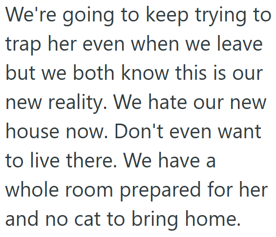 We're going to keep trying to trap her even when we leave but we both know this is our new reality. We hate our new house now. Don't even want to live there. We have a whole room prepared for her and no cat to bring home.