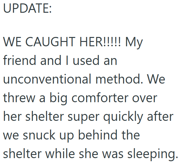 UPDATE: WE CAUGHT HER!!!!! My friend and I used an unconventional method. We threw a big comforter over her shelter super quickly after we snuck up behind the shelter while she was sleeping.