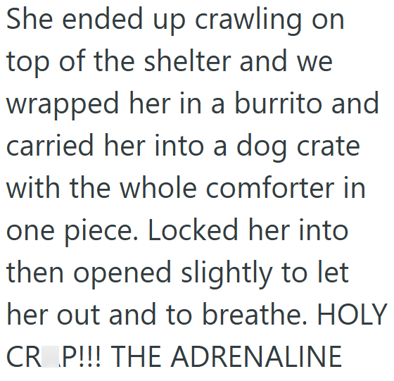 She ended up crawling on top of the shelter and we wrapped her in a burrito and carried her into a dog crate with the whole comforter in one piece. Locked her into then opened slightly to let her out and to breathe. HOLY CRAP!!! THE ADRENALINE