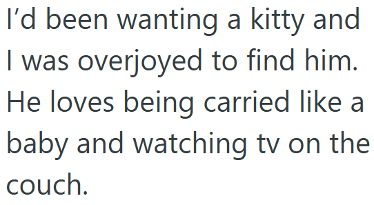 I'd been wanting a kitty and I was overjoyed to find him. He loves being carried like a baby and watching tv on the couch.