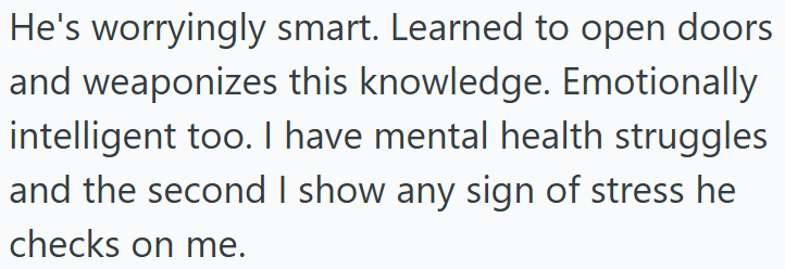 He's worryingly smart. Learned to open doors and weaponizes this knowledge. Emotionally intelligent too. I have mental health struggles and the second I show any sign of stress he checks on me.
