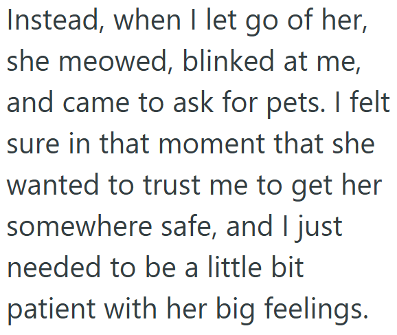 Instead, when I let go of her, she meowed, blinked at me, and came to ask for pets. I felt sure in that moment that she wanted to trust me to get her somewhere safe, and I just needed to be a little bit patient with her big feelings.