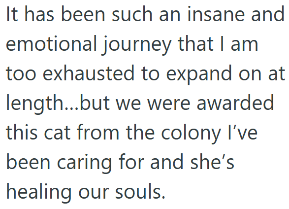 It has been such an insane and emotional journey that I am too exhausted to expand on at length...but we were awarded this cat from the colony I've been caring for and she's healing our souls.