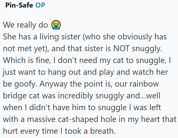 Pin-Safe OP We really do She has a living sister (who she obviously has not met yet), and that sister is NOT snuggly. Which is fine, I don't need my cat to snuggle, I just want to hang out and play and watch her be goofy. Anyway the point is, our rainbow bridge cat was incredibly snuggly and...well when I didn't have him to snuggle I was left with a massive cat-shaped hole in my heart that hurt every time I took a breath.