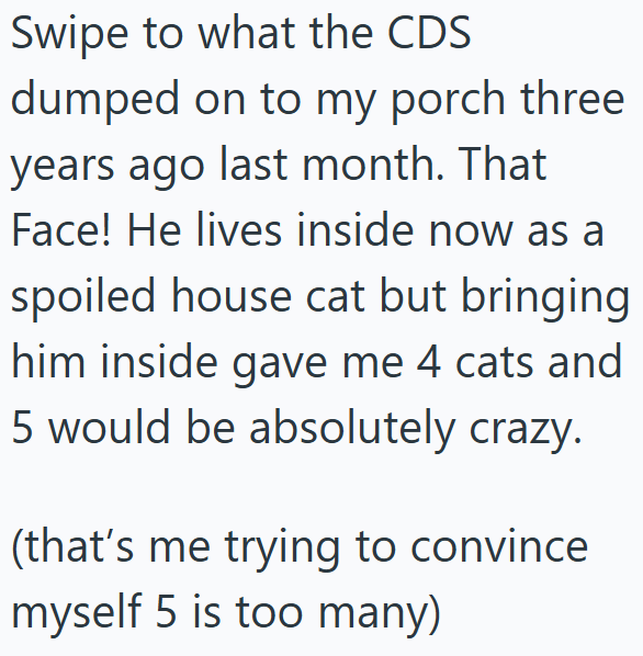 Swipe to what the CDS dumped on to my porch three years ago last month. That Face! He lives inside now as a spoiled house cat but bringing him inside gave me 4 cats and 5 would be absolutely crazy. (that's me trying to convince myself 5 is too many)