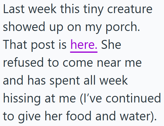 Last week this tiny creature showed up on my porch. That post is here. She refused to come near me and has spent all week hissing at me (I've continued to give her food and water).
