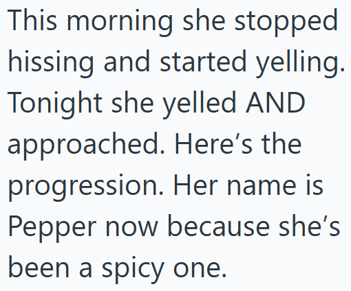 This morning she stopped hissing and started yelling. Tonight she yelled AND approached. Here's the progression. Her name is Pepper now because she's been a spicy one.
