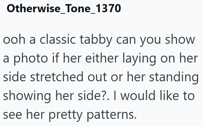 Otherwise Tone_1370 ooh a classic tabby can you show a photo if her either laying on her side stretched out or her standing showing her side?. I would like to see her pretty patterns.