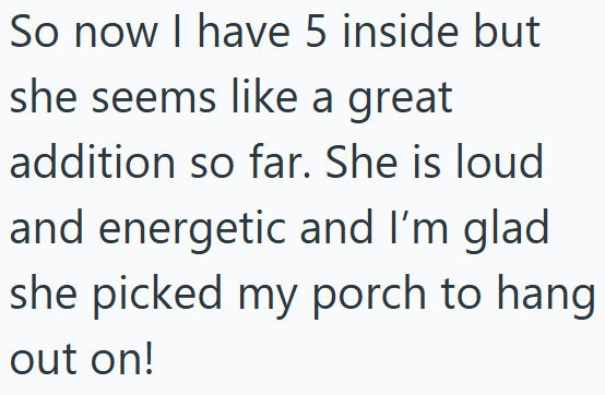 So now I have 5 inside but she seems like a great addition so far. She is loud and energetic and I'm glad she picked my porch to hang out on!