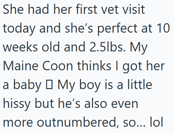 She had her first vet visit today and she's perfect at 10 weeks old and 2.5lbs. My Maine Coon thinks I got her a baby □ My boy is a little hissy but he's also even more outnumbered, so... lol