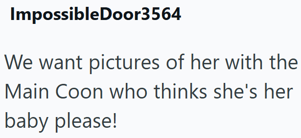 Impossible Door3564 We want pictures of her with the Main Coon who thinks she's her baby please!