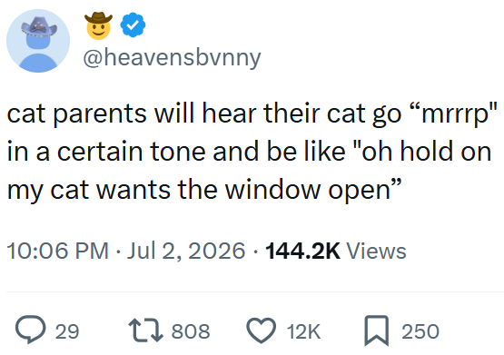 @heavensbvnny cat parents will hear their cat go "mrrrp" in a certain tone and be like "oh hold on my cat wants the window open" 10:06 PM - Jul 2, 2026 144.2K Views > 29 17 808 12K 口 250