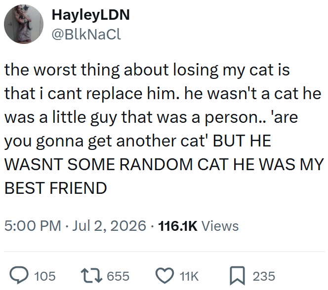HayleyLDN @BlkNaCl the worst thing about losing my cat is that i cant replace him. he wasn't a cat he was a little guy that was a person.. 'are you gonna get another cat' BUT HE WASNT SOME RANDOM CAT HE WAS MY BEST FRIEND 5:00 PM - Jul 2, 2026 116.1K Views > 105 17655 11K ☐ 235