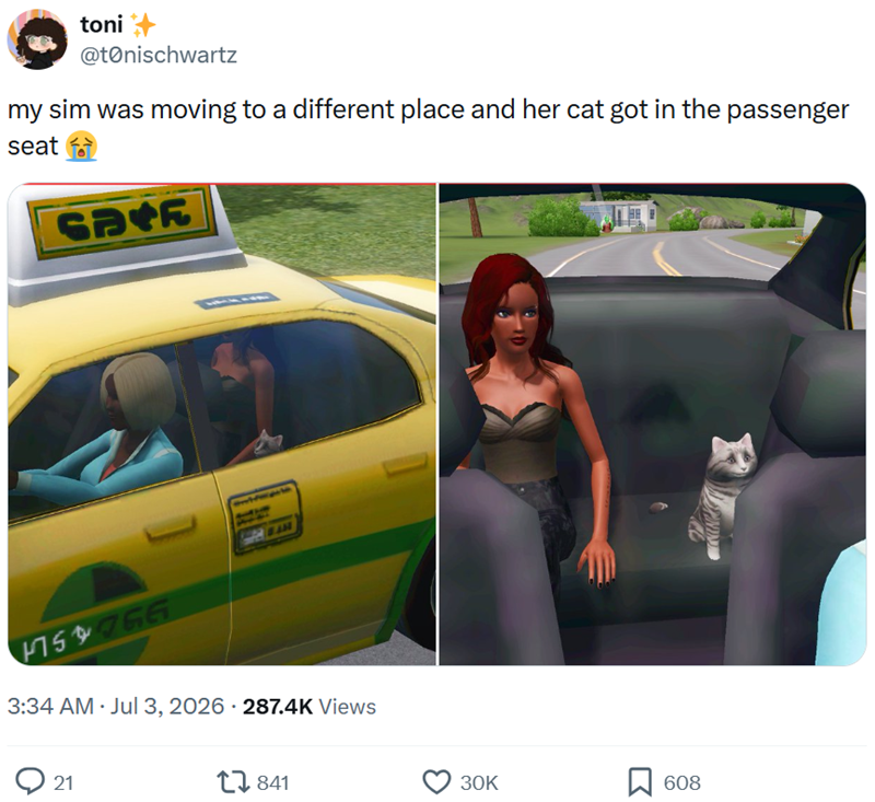 toni @tonischwartz my sim was moving to a different place and her cat got in the passenger seat SAR BAN 4759766 3:34 AM ⚫ Jul 3, 2026 287.4K Views 21 841 30K 608