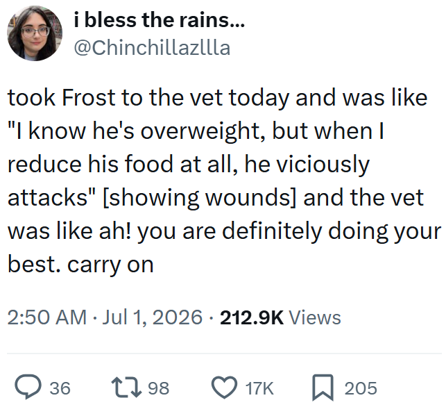 i bless the rains... @Chinchillazllla took Frost to the vet today and was like "I know he's overweight, but when I reduce his food at all, he viciously attacks" [showing wounds] and the vet was like ah! you are definitely doing your best. carry on 2:50 AM Jul 1, 2026 · 212.9K Views • 36 1798 17K ☐ 205
